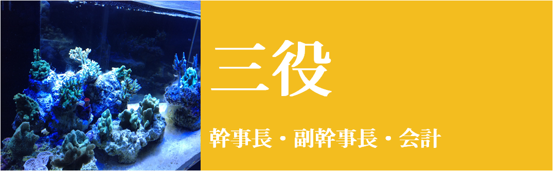 創作文芸CIRCLE四季凪 三役